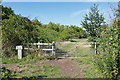 Dog walking area, Bedfont Lakes in TW14 8EE