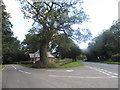 The Avenue at the junction of Farleigh Road in Farleigh Wallop