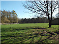Playing field near Boldmere Gate, Sutton Park in B73 6LJ