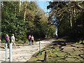 Walking east on a drive through Holly Hurst, Sutton Park in B74 2YT