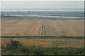 View of a field boundary from Hadleigh Castle in SS7 2BX