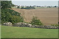 View of the rear of houses on Castle Road from Hadleigh Castle in SS7 2BX