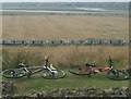 View of two bikes and a c2c train lining up from Hadleigh Castle in SS7 2BX
