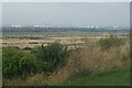 View of Canvey Island and the Coryton oil refinery from Hadleigh Castle in SS7 2PP