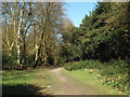 North on a track between Hill Hurst and Holly Hurst, Sutton Park in B74 2YT
