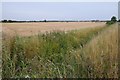 Arable land  near Alconbury in PE28 4ER