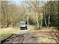 Park rangers' wagon heading north, Sutton Park in B74 2YT