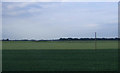 Fields near Willow Farm in PE15 0HB