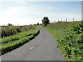 The road up from the valley floor of the River Brett at Semer in South East Cosford Ward