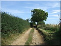 Track to Cainhoe Park Farm in MK45 4AU