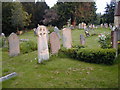 Churchyard ,All Saints Steep in GU32 2DB