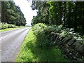 Dry stone wall in NE71 6JW