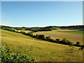 From  downs  grassland  to  arable  fields  Crundale in Crundale