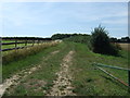 Farm track (footpath) off Rectory Road in Steppingley