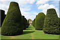 The Yew Garden, Packwood House in B94 6AT