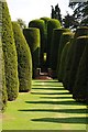 Yew Garden, Packwood House in B94 6AT