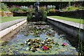 Lily pond, Packwood House in B94 6AT