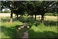 The Millennium Way near Packwood House in B94 6JL