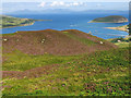 Heather moorland above Campbeltown in PA28 6RB