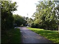 On the old railway track, now a cycle path in HR2 6SE