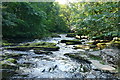 The River Eden at Stenkrith bridge in CA17 4SZ