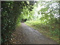 Path along the River Lea, Wheathampstead in AL4 8HP
