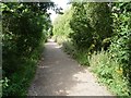 Public bridleway on the unfinished Midland main line in WF4 2WU