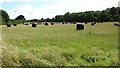 Silage bales by Oby Manor Farm in Ashby with Oby