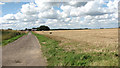 Track to Harrison's Farm in Ashby with Oby