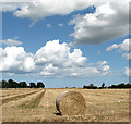 Harvested field, Oby in Ashby with Oby