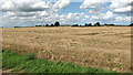 Stubble field by Harrison's Farm, Oby in Ashby with Oby