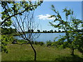 Deeping Lakes: lake with marginal woodland in PE6 7PQ