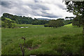 A view of the River Ribble with Pendle Hill beyond in Paythorne