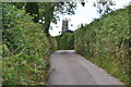 North Devon : Country Lane in EX36 4EA