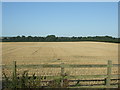 Crop field west of the A18, North Thoresby in DN36 5QA