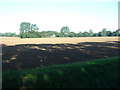 Farmland, Grainsby Bridge in DN36 5PZ