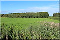 Farmland at Culhorn Parks in DG9 8RP