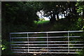 North Devon : Gate & Field in EX36 4LW