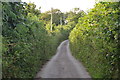 North Devon : Country Lane in EX36 4LW