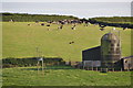 North Devon : Countryside Scenery in EX36 4LW