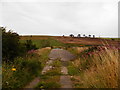 Disused roadway and bridge over Lunan Water in DD11 5RP