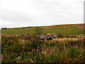 Disused bridge over Lunan Water in DD11 5RP