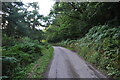 North Devon : Country Lane in EX36 4EG
