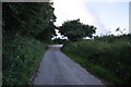 North Devon : Country Lane in EX36 4LU