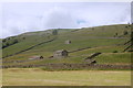 Field barns and dry stone walls, Swaledale in DL11 6QG