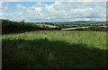 Pasture near Babland Farm in PL21 0SA
