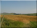 Farmland near Kirkton of Kingoldrum in DD8 5HD