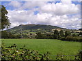 Fields, electricity pylon and The Skirrid in the distance in NP7 6NY