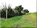 Footpath to Sutton Hall from The Forge in IP12 3EE