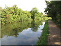 Paddington Branch canal near Ruislip Road in UB5 6SR